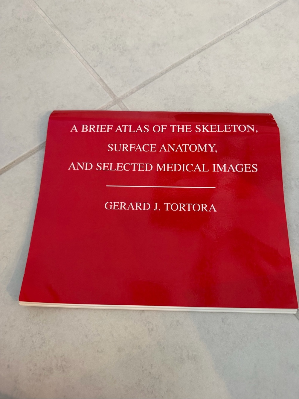 A Brief atlas of the Skeleton, Surface Anatomy, and Selected Medical Images